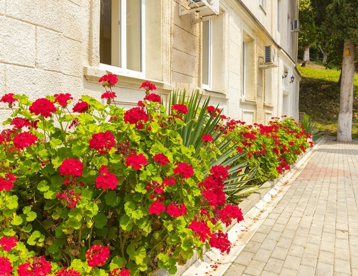 База отдыха «Репруа» Холодная речка